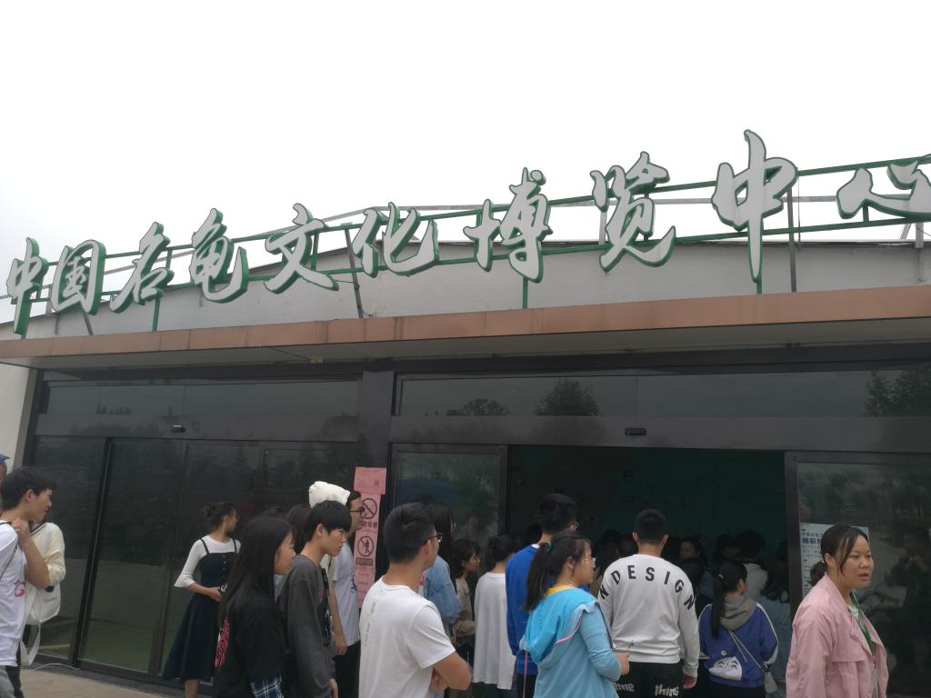 IMG_20190421_110421 IMG_20190421_110421